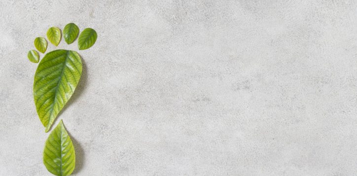 still-life-sustainable-lifestyle-elements-composition-2